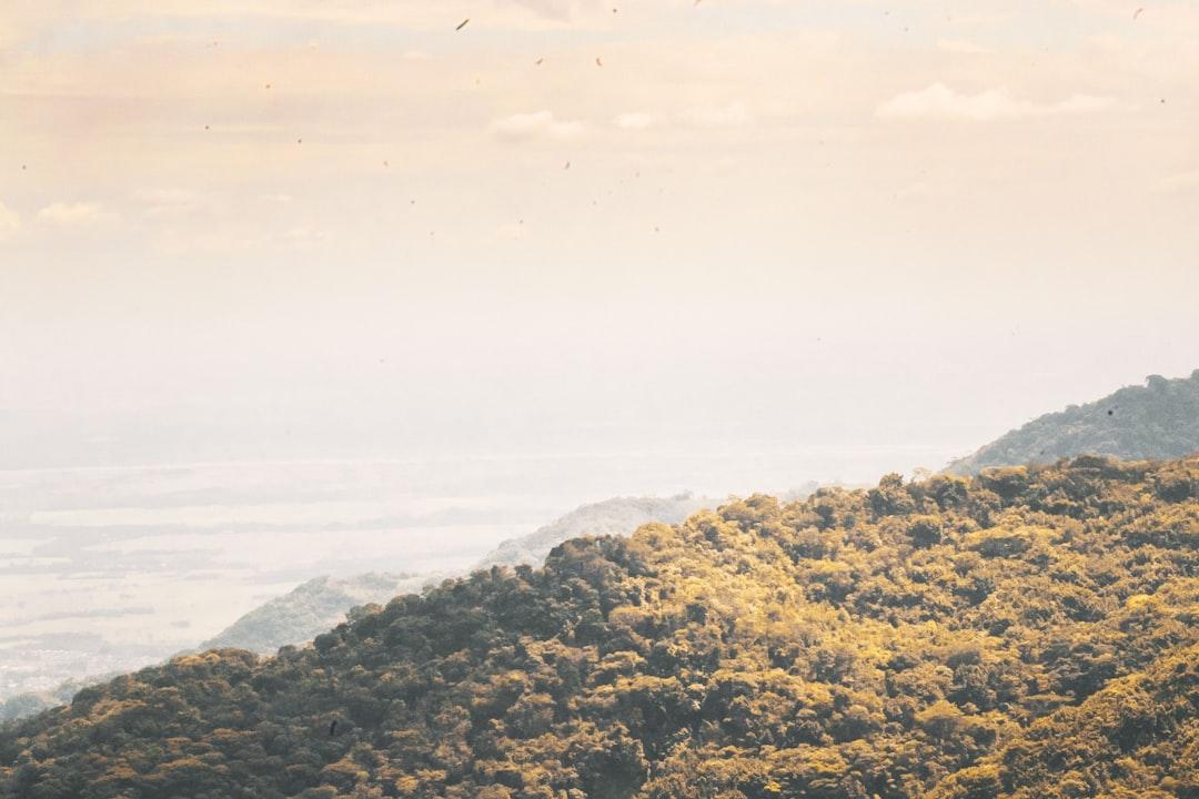 Phản hồi về Hướng dẫn Điều trị Đau cột sống xâm lấn của BMJ năm 2025: Góc nhìn đa chiều